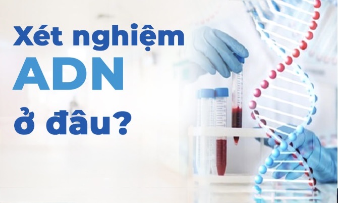 Địa Chỉ Xét Nghiệm ADN Uy Tín