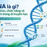 z7764429672317 1d44d6cf817a7bebb5327d2f6a03ecd6