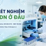 z7771338455008 aa9442099a27934553aaaf4a45932eaa