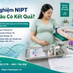 z7764496788351 0390c4a4ceb1828e4979c4b11121ea55